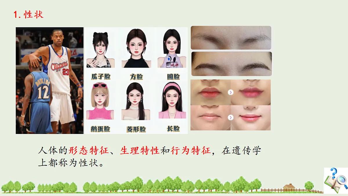 17725757第4页
