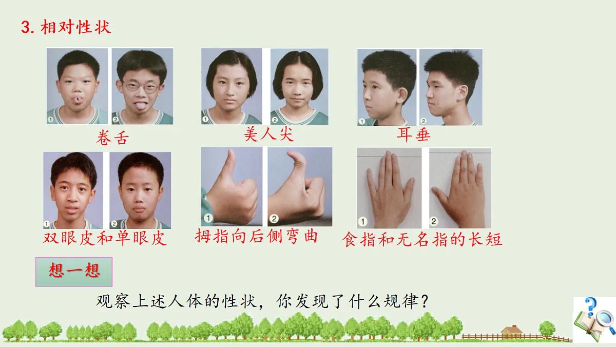 17725757第8页
