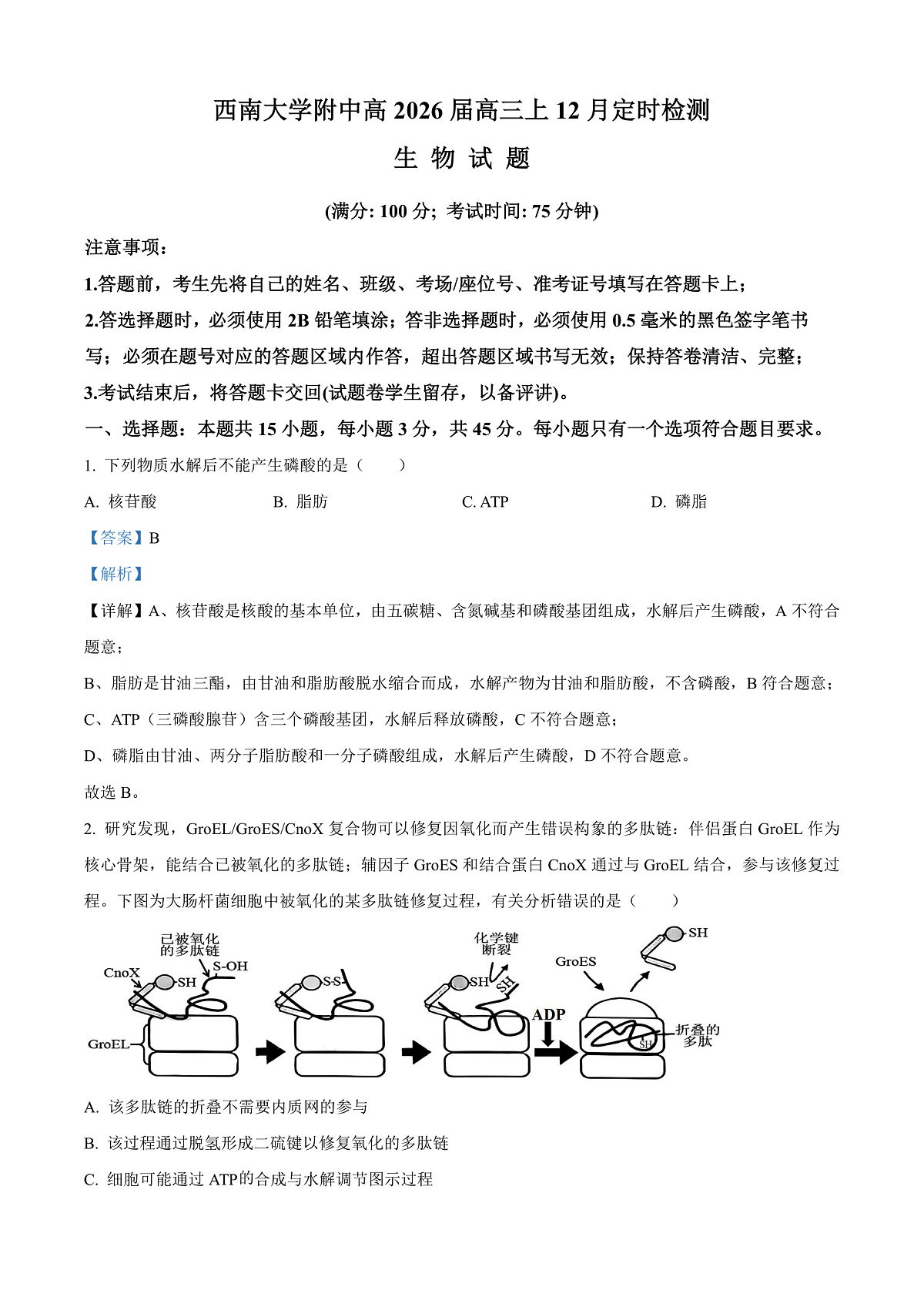 重庆市北碚区西南大学附属中学2026届高三上学期12月月考生物试题 Word版含解析第1页