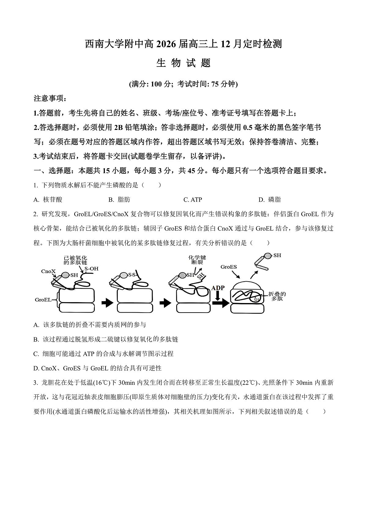 重庆市北碚区西南大学附属中学2026届高三上学期12月月考生物试题(原卷版)第1页