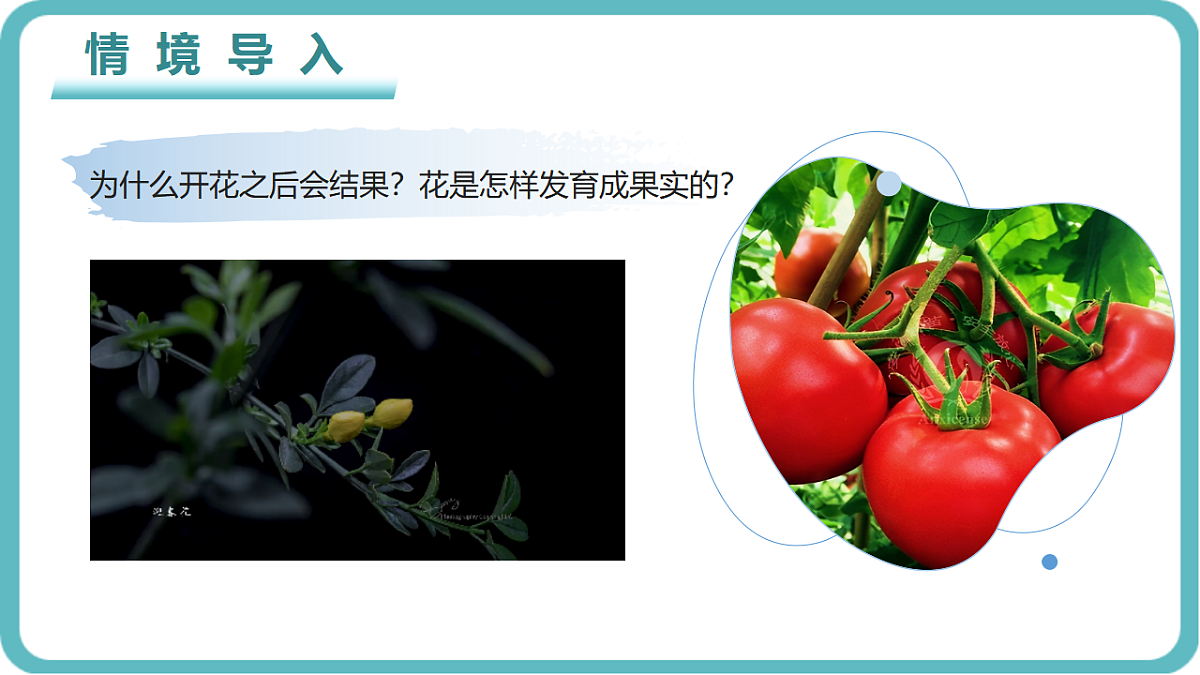 17726083第1页