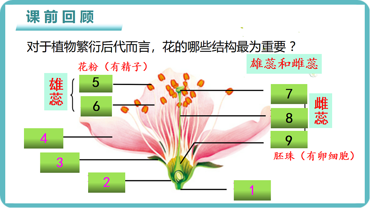 17726083第2页