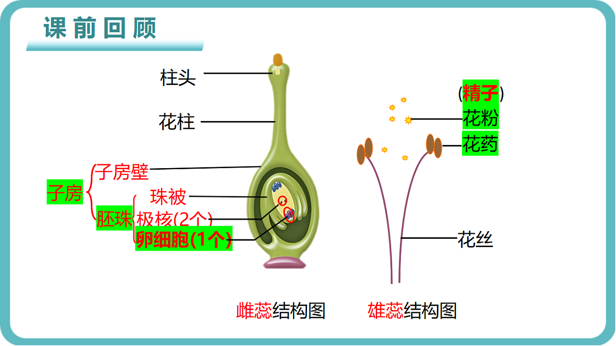 17726083第3页