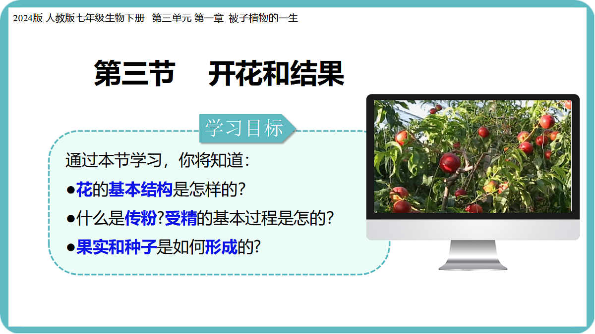 17726083第4页
