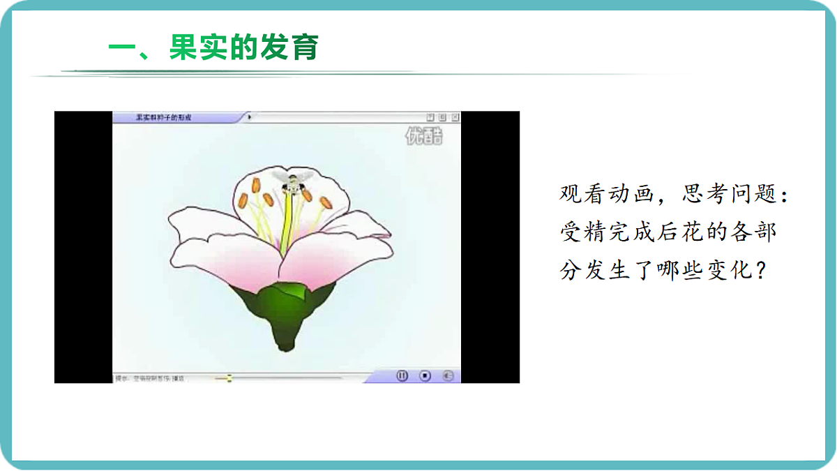 17726083第5页
