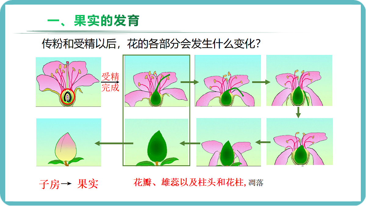 17726083第6页