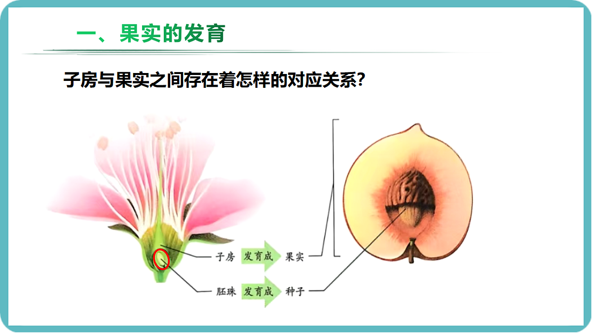 17726083第7页