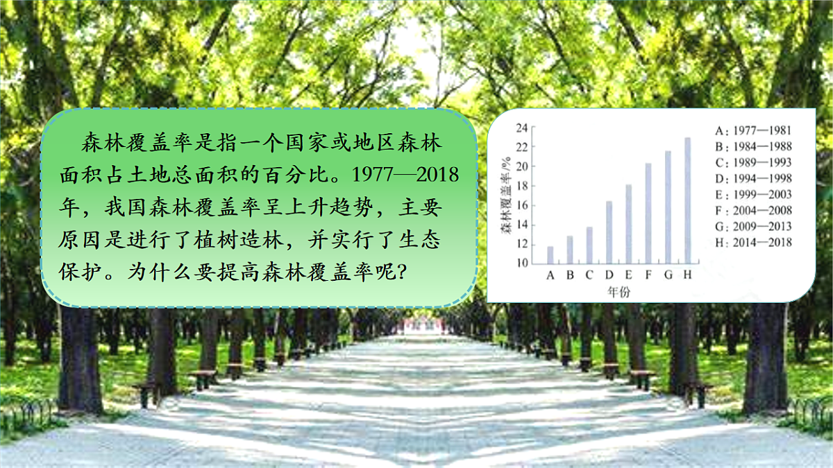 17726086第1页