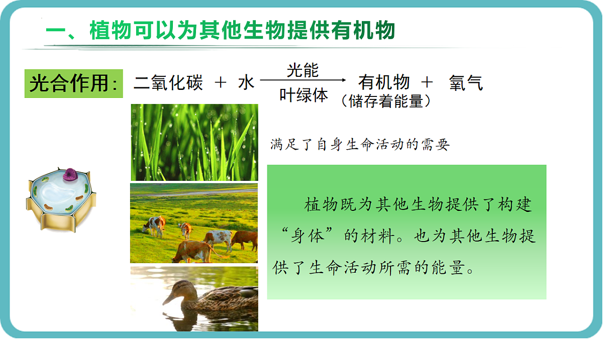 17726086第3页