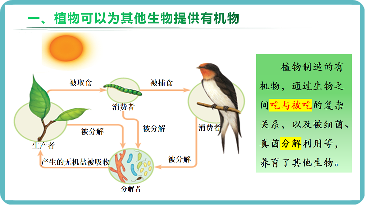 17726086第4页