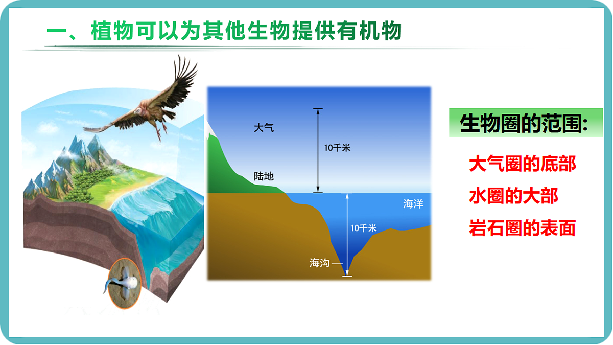 17726086第5页