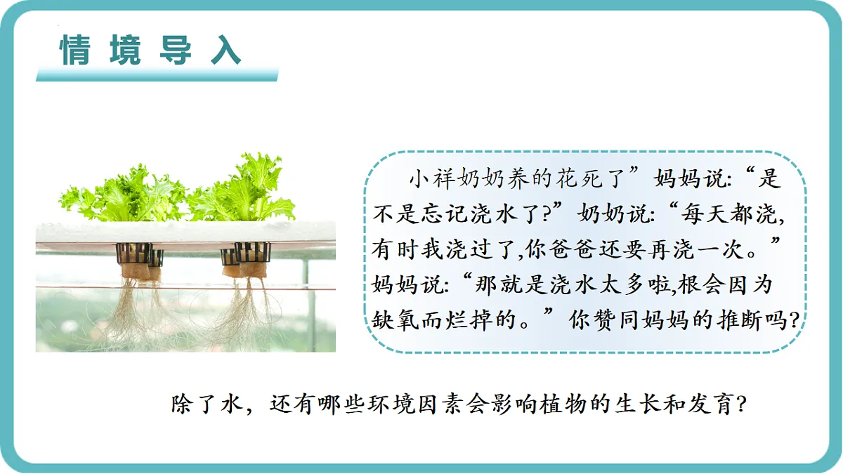 17726153第1页