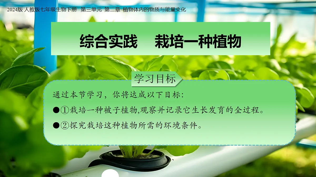 17726153第2页