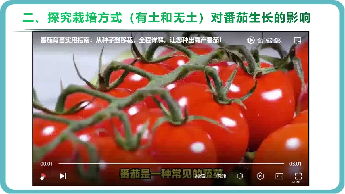 17726153第7页