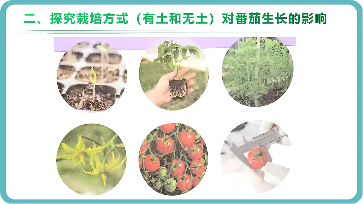 17726153第8页