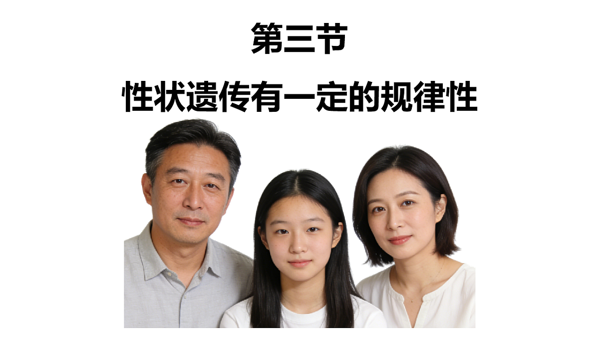 17727073第1页