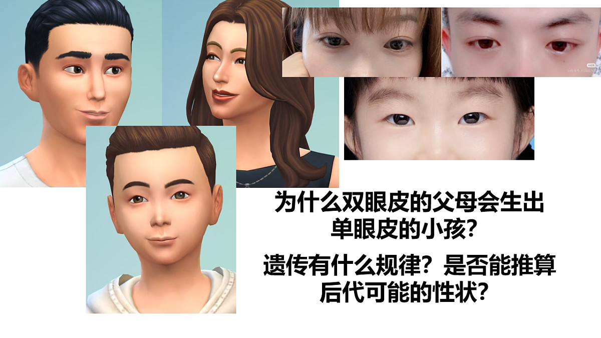 17727073第2页