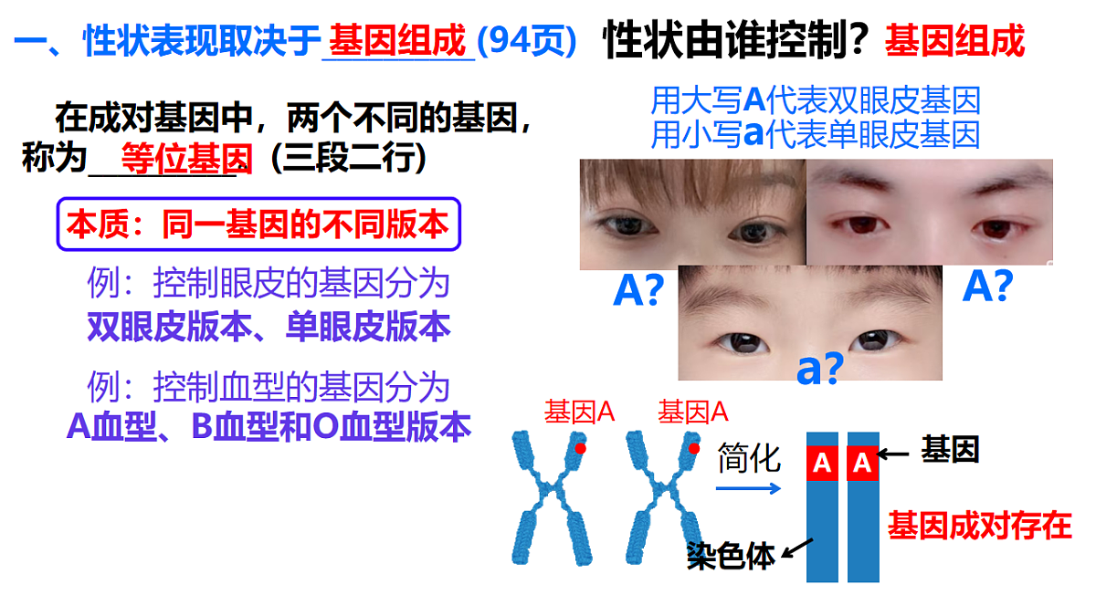 17727073第3页