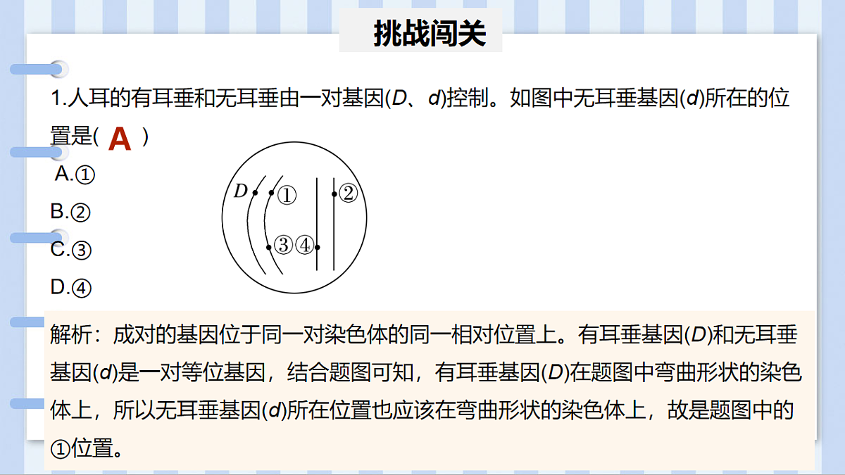 17727073第4页