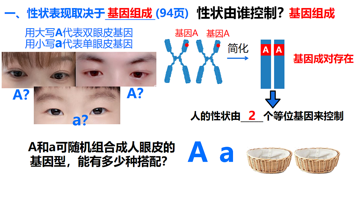 17727073第5页
