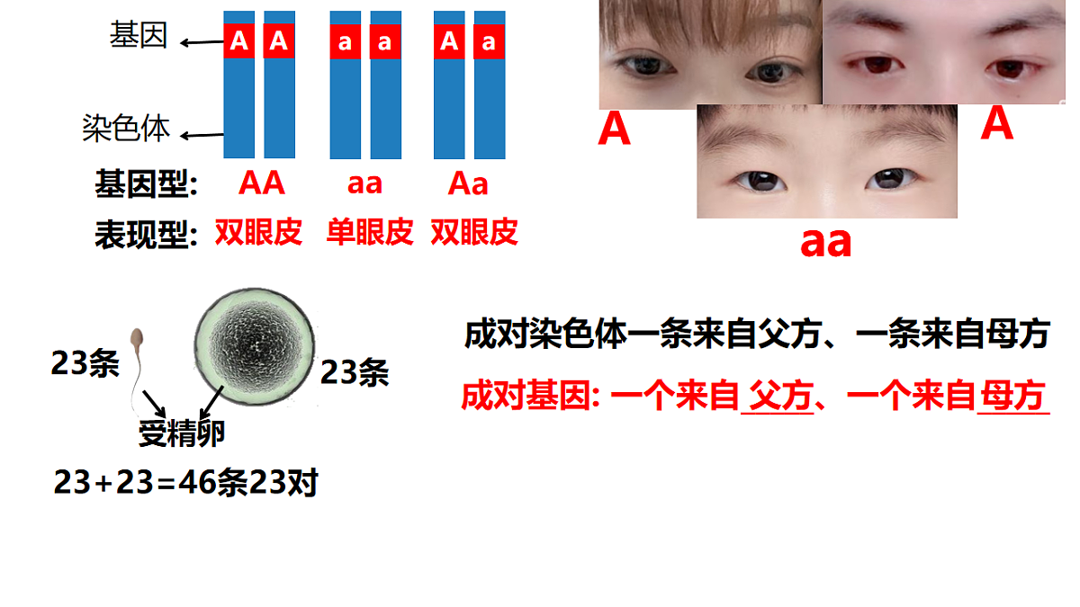 17727073第7页