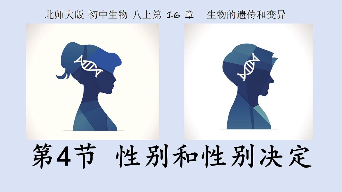 17727077第2页
