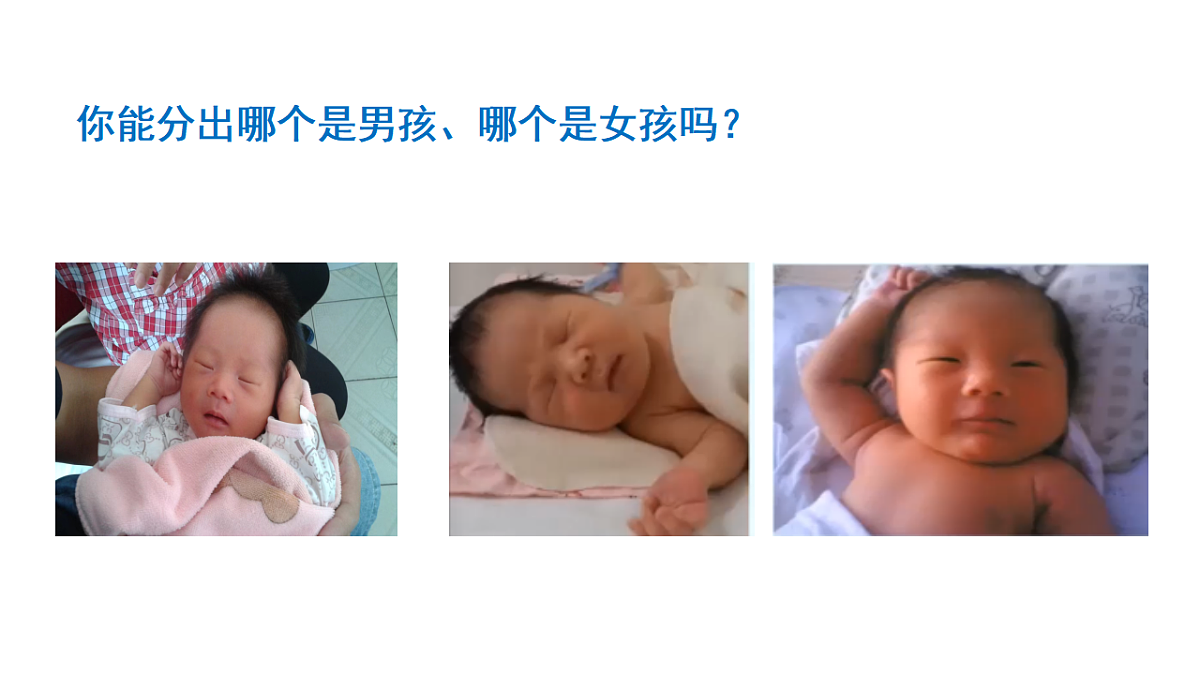 17727077第4页