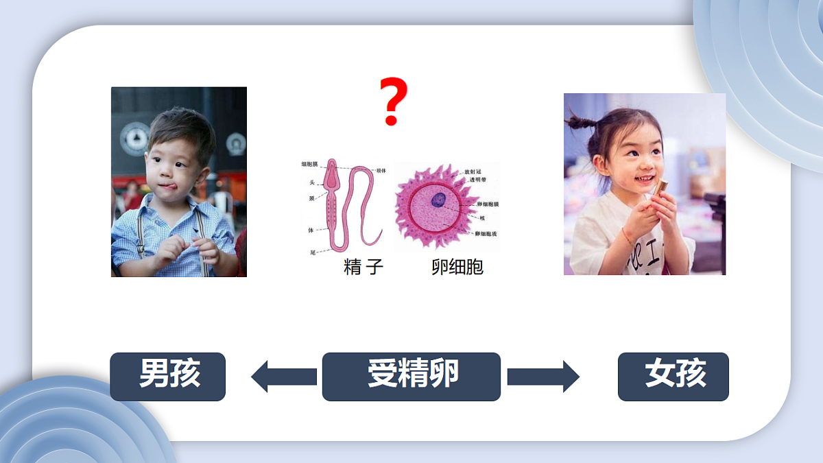 17727077第5页