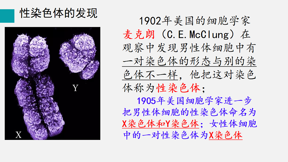 17727077第7页
