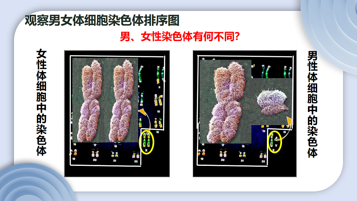 17727077第8页