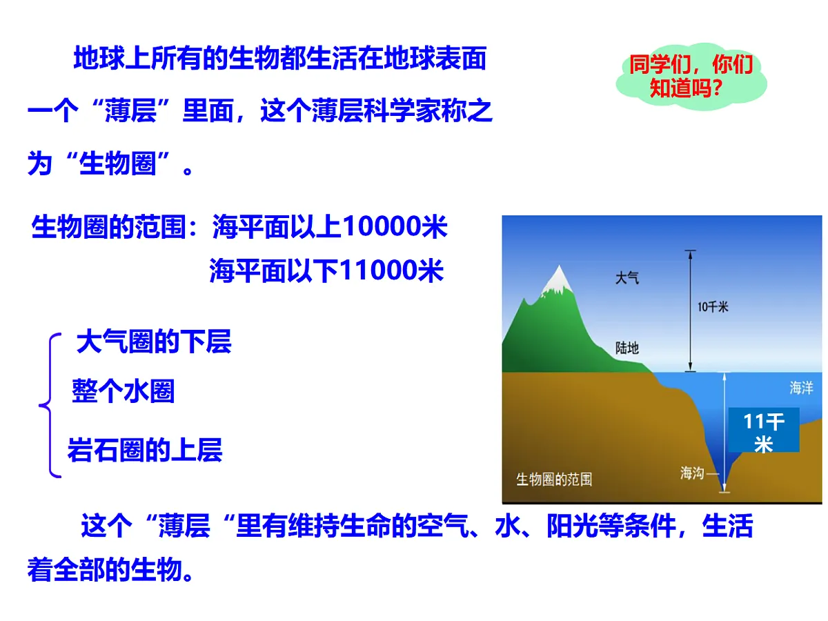 17727882第2页