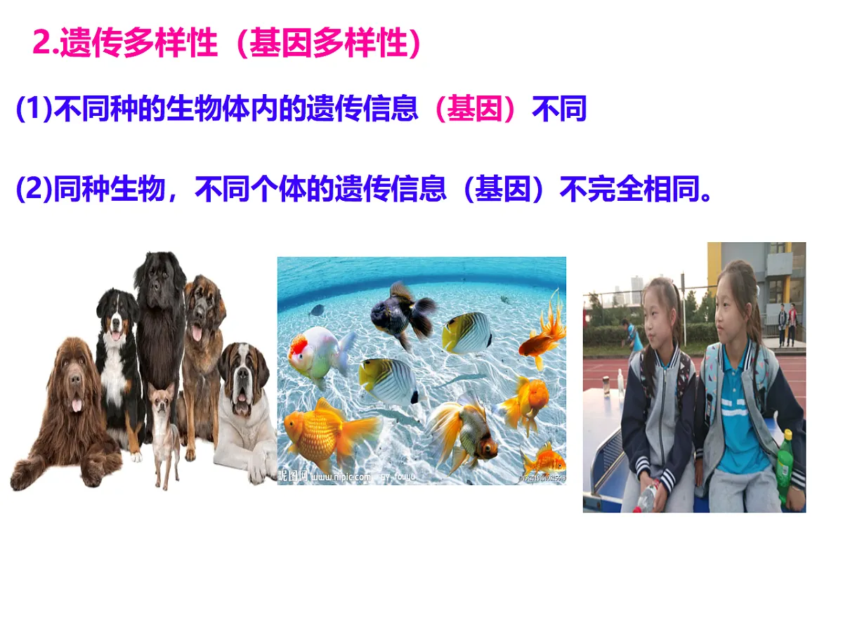 17727882第5页