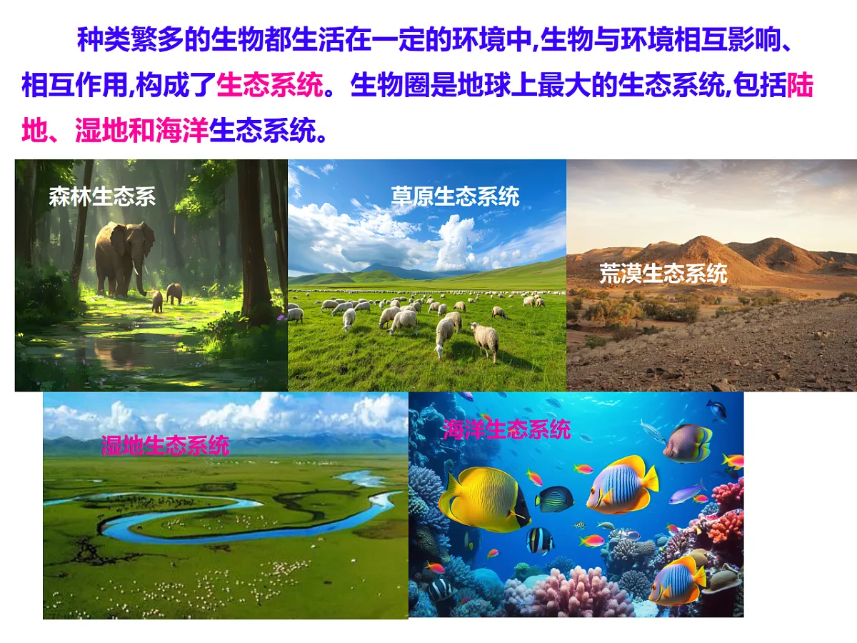 17727882第7页