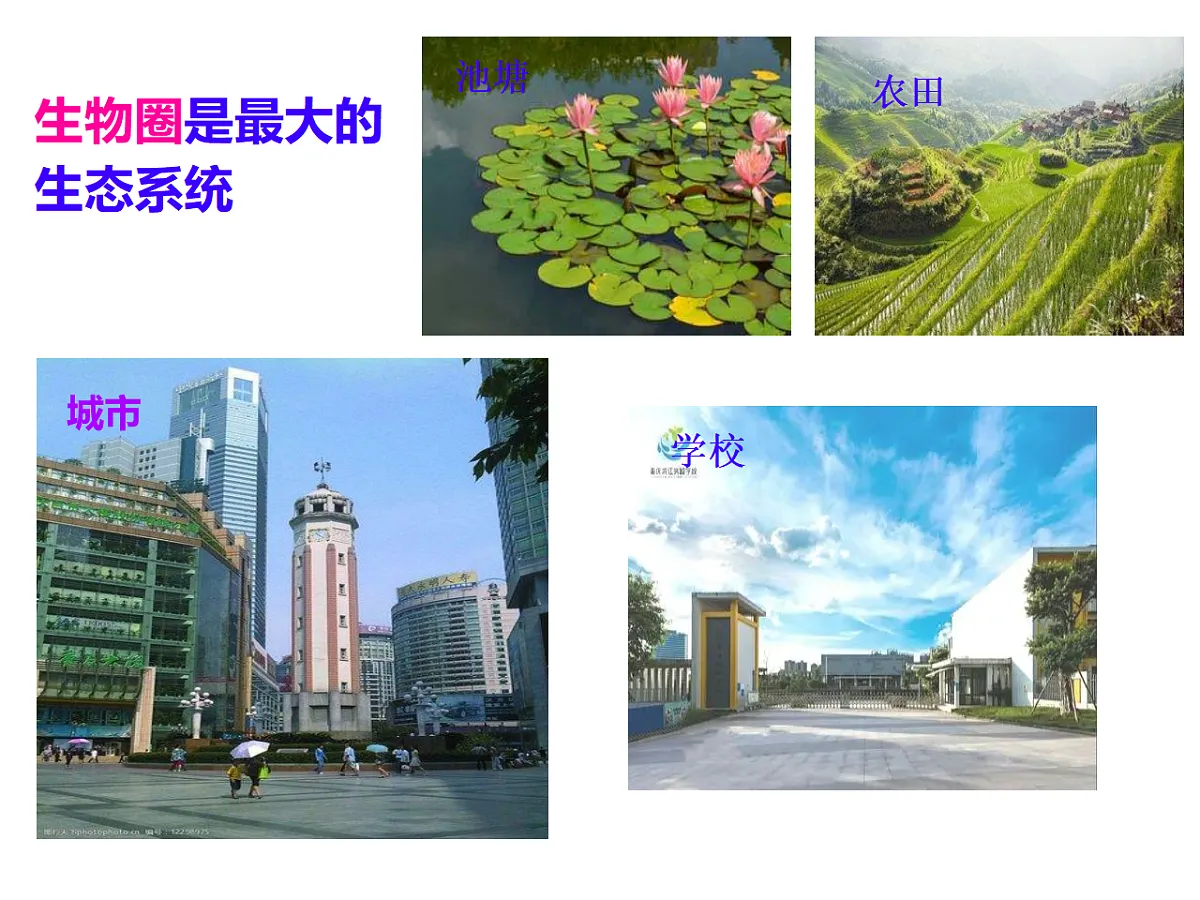 17727882第8页