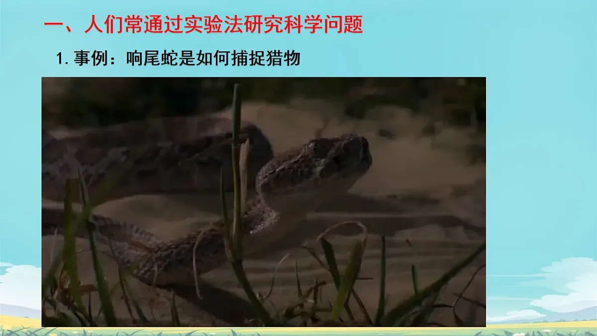17728265第2页