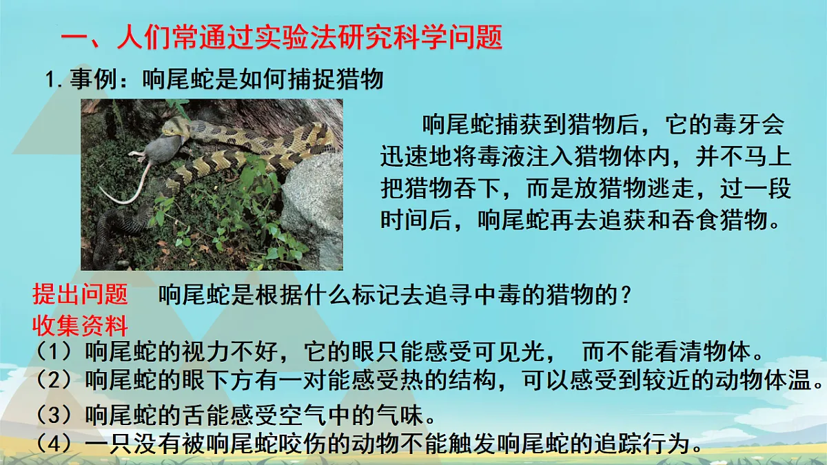 17728265第3页