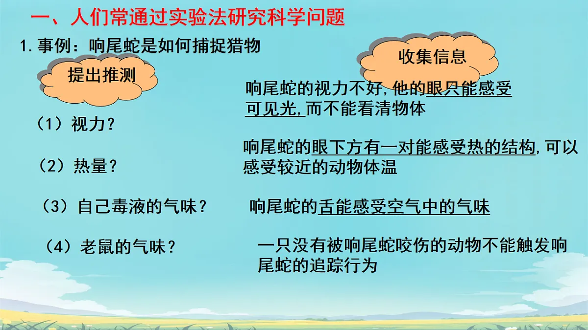 17728265第4页