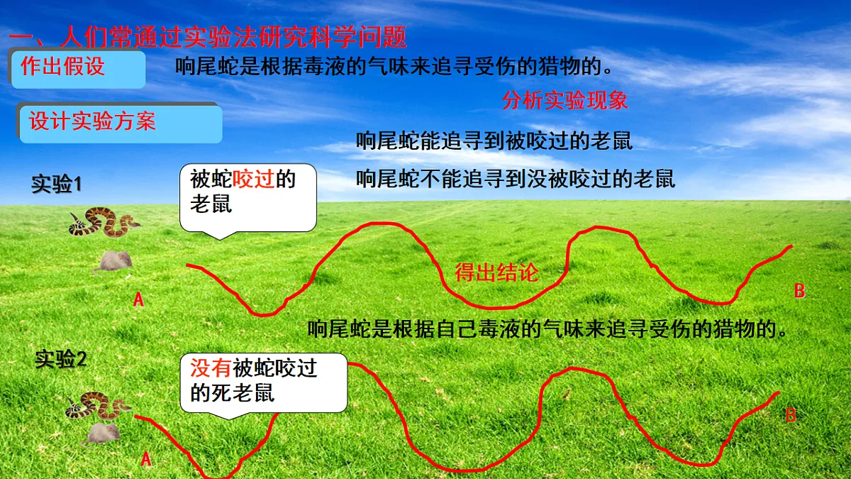 17728265第5页