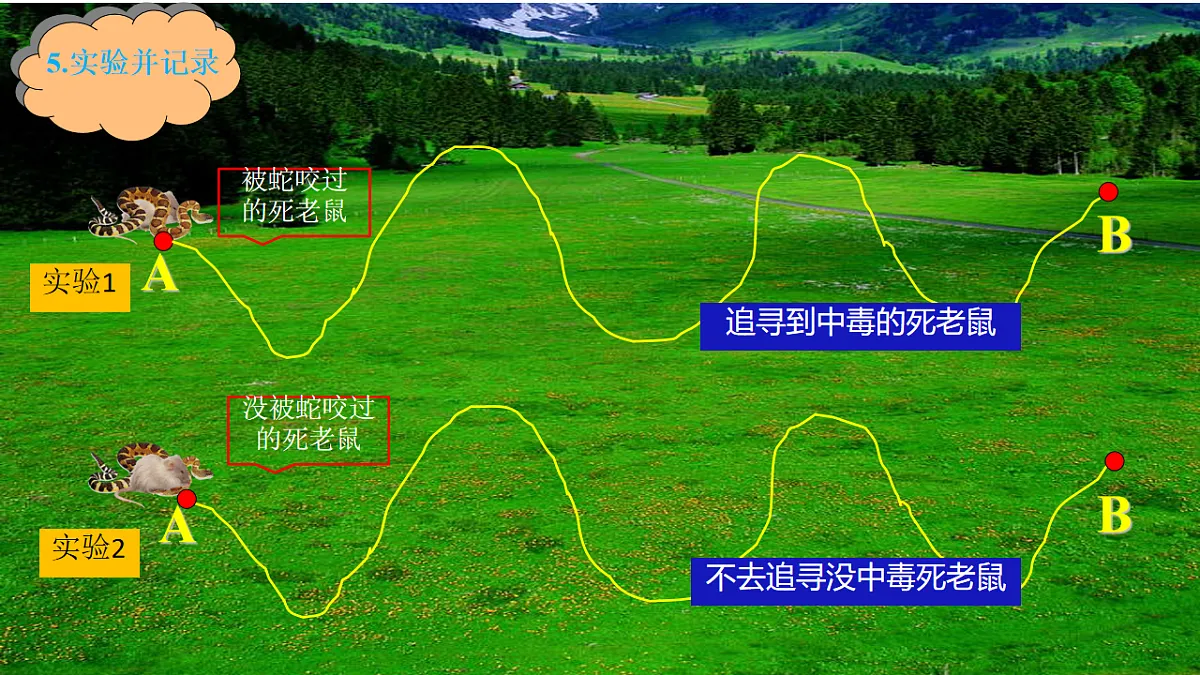 17728265第6页