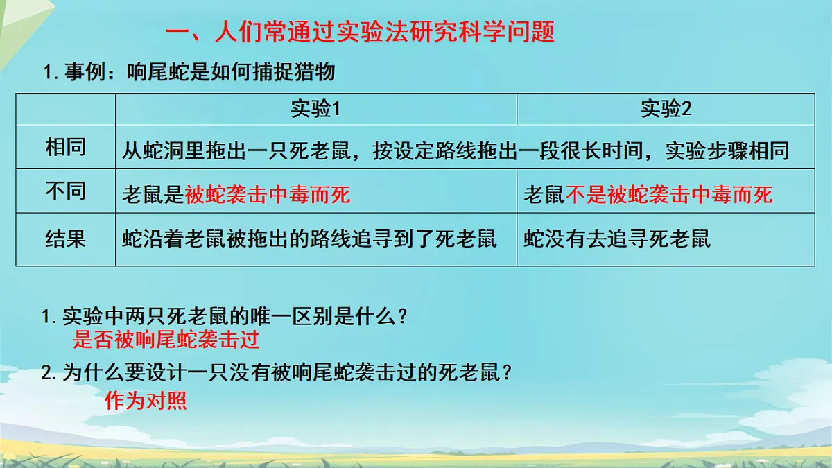 17728265第7页