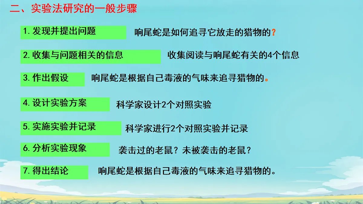 17728265第8页