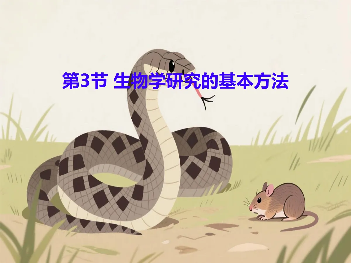 17728266第1页