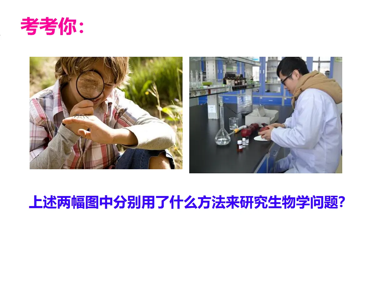 17728266第3页