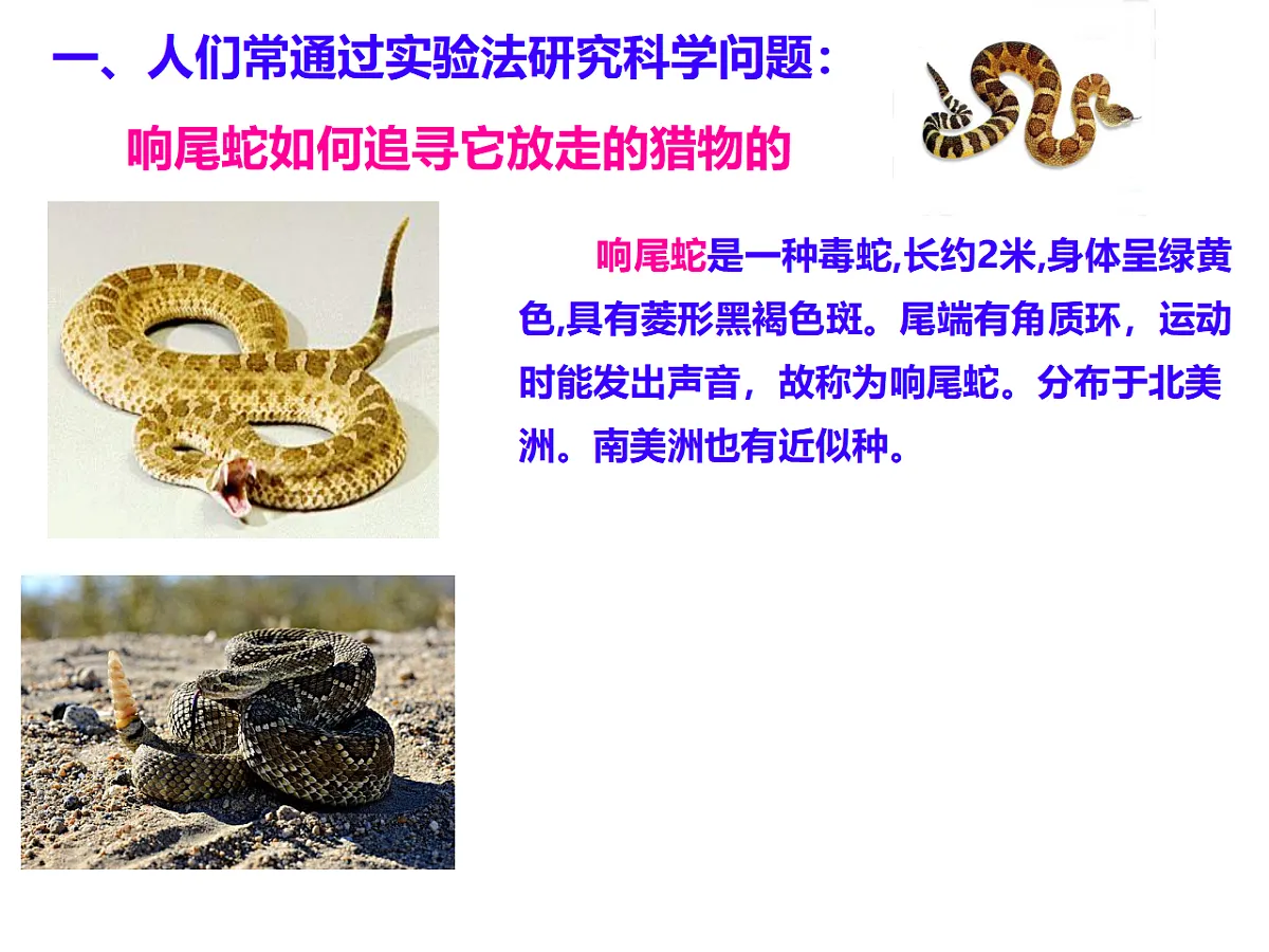 17728266第4页