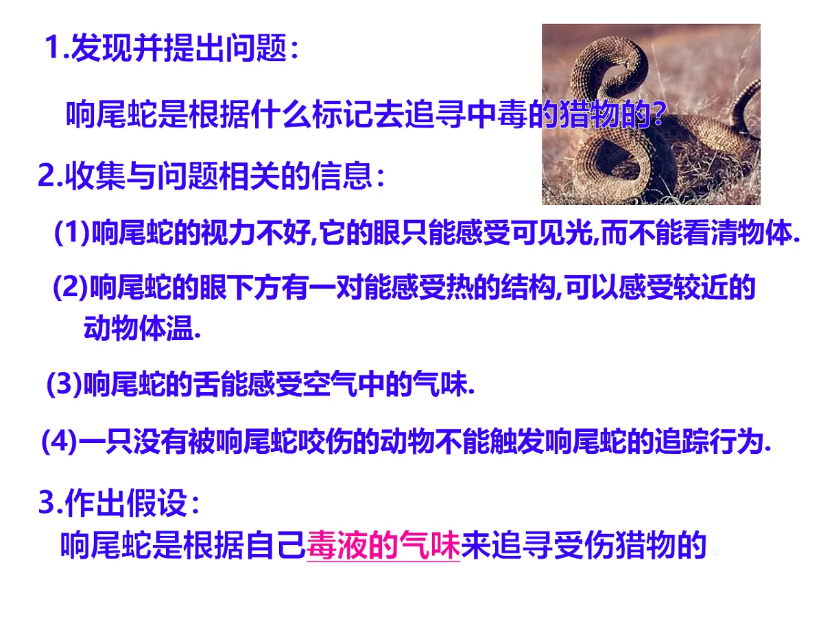 17728266第7页