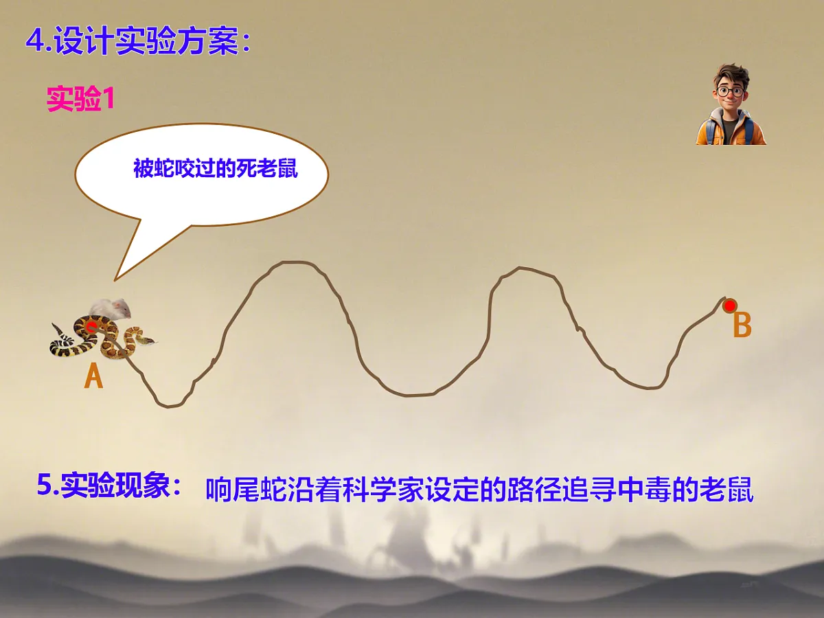 17728266第8页