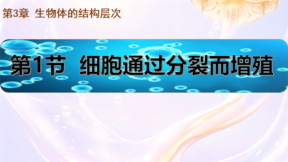 17729172第1页