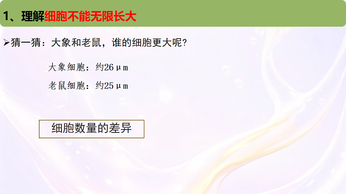 17729172第3页