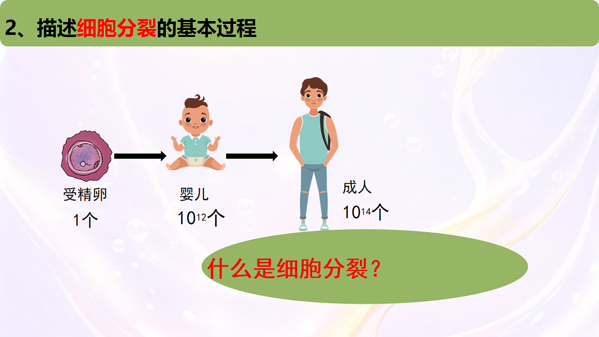 17729172第5页