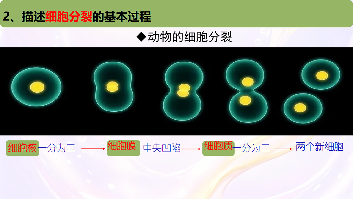 17729172第6页